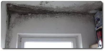 Schimmelschaden-Gutachten von HERUTH Immobilien Gutachten - So sehen Sie ihr Haus (Villa) - so sieht es ein Köufer (eine Hütte) - so ein Wertgutachter (so wie es ist) - so die Bank (Zelt) - so das Finanzamt (Schloß) Schimmelschaden-Gutachten von HERUTH Immobilien Gutachten - So sehen Sie ihr Haus (Villa) - so sieht es ein Köufer (eine Hütte) - so ein Wertgutachter (so wie es ist) - so die Bank (Zelt) - so das Finanzamt (Schloß)